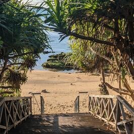 Beach and trees